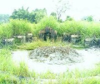 中村村[廣東省羅定市素龍街道辦下轄村]