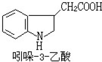 茁長素