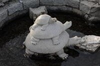 黃帝泉中的三隻龜