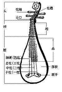 大忽雷