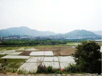 山溪村[福建省南安市洪梅鎮下轄村]