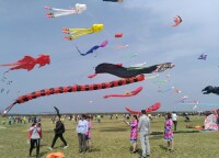 第24屆濰坊國際風箏會