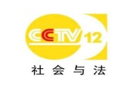 CCTV-12