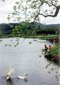 玉水河畔祝家莊