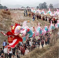 姑田游大龍