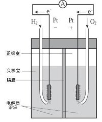 燃燒電池