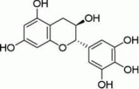 沒食子兒茶素