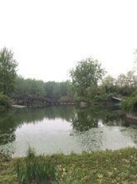 古淮河文化生態景區