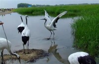 黑龍江涼水國家級自然保護區