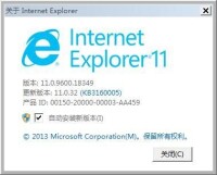 Intermet Explorer11
