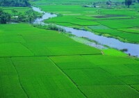 永久基本農田