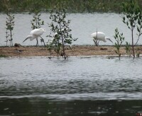 白鷺公園