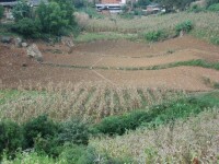 雲南省施甸徠縣萬興鄉大水村耕地