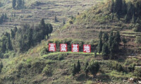 茅壩鎮高粱種植基地