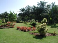 中國科學院西雙版納熱帶植物園