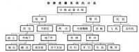 導彈武器系統