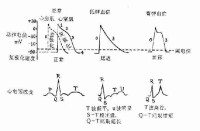 鈉代謝紊亂