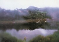 辰 巳 山 煙 雨