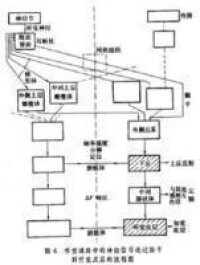 物理聲學