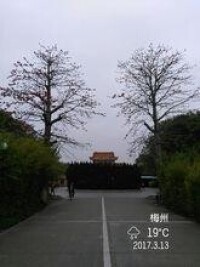 劍英公園27