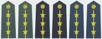 陸海空軍上尉常服肩章(2007—)