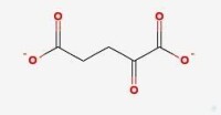 α-ketoglutarate