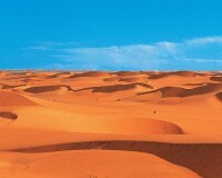 阿拉伯沙漠
