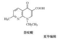 萘啶酸