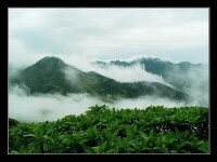 西坑村[浙江省麗水市松陽縣四都鄉下轄村]