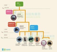 熊科動物的進化和分類圖