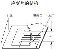 應變片