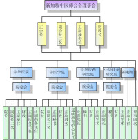 新加坡中醫師公會