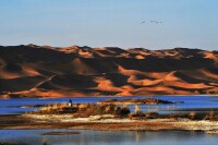 騰格里沙漠天鵝湖