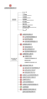 山西國信投資集團有限公司