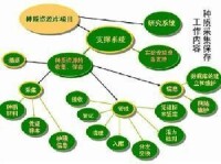 中國西南野生生物種質資源庫總體工作框架