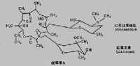 多肽類抗生素