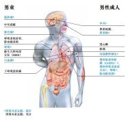 男士吸二手煙的危害