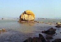 汛洲島海岸水母石