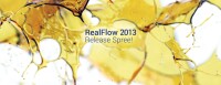 Realflow