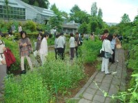 東京藥科大學