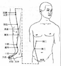 足厥陰絡脈