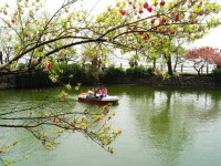 望龍湖美景