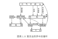 水中氮