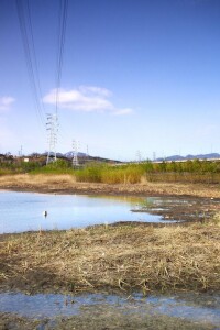 北京永定河