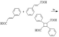 有機光化學