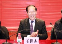 王世傑[合肥信息技術職業學院董事長]