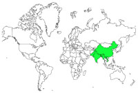 綠背山雀世界分佈