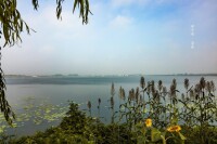 淵子湖