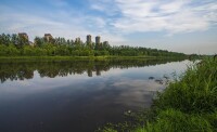 汾河河口附近景觀