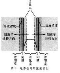 濃差極化